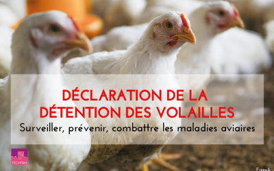 DECLARATION DE LA DETENTION DES VOLAILLES