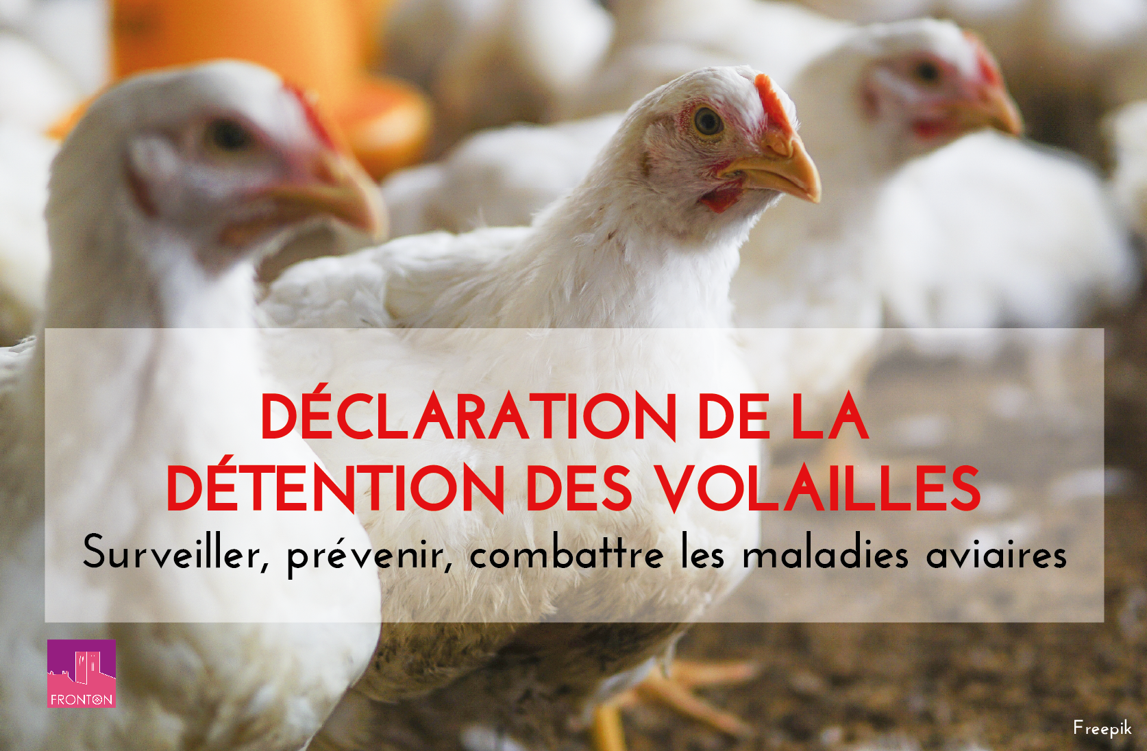 DECLARATION DE LA DETENTION DES VOLAILLES